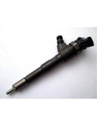 Enjektör- 166008399R