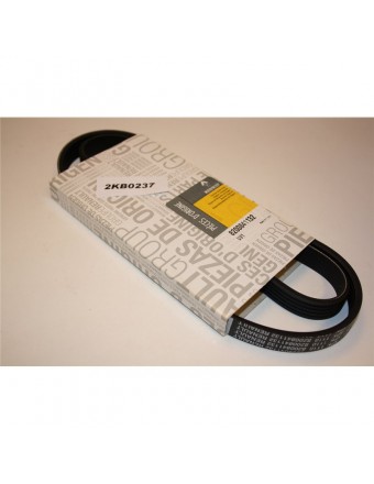 Alternatör Kayışı - 8200841132